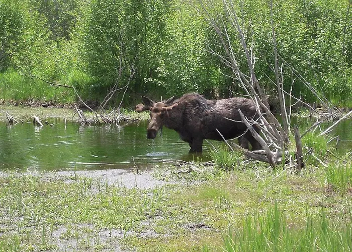 Yellowstone Village Holiday park *